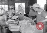 Image of wrapping cereal boxes United States USA, 1931, second 15 stock footage video 65675029572