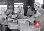 Image of wrapping cereal boxes United States USA, 1931, second 16 stock footage video 65675029572
