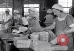 Image of wrapping cereal boxes United States USA, 1931, second 20 stock footage video 65675029572