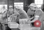 Image of wrapping cereal boxes United States USA, 1931, second 25 stock footage video 65675029572