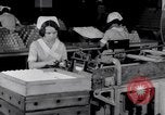 Image of making bandages United States USA, 1931, second 35 stock footage video 65675029573