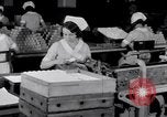 Image of making bandages United States USA, 1931, second 36 stock footage video 65675029573