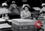 Image of making bandages United States USA, 1931, second 38 stock footage video 65675029573