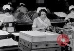 Image of making bandages United States USA, 1931, second 41 stock footage video 65675029573