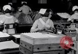 Image of making bandages United States USA, 1931, second 42 stock footage video 65675029573