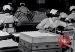 Image of making bandages United States USA, 1931, second 43 stock footage video 65675029573