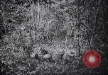 Standbild 128 Infanterie Division 32 Truppen Elsass Deutschland, 1918, aus Sekunde 47 historischem Filmmaterial Videoclip 65675029590