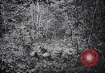 Standbild 128 Infanterie Division 32 Truppen Elsass Deutschland, 1918, aus Sekunde 48 historischem Filmmaterial Videoclip 65675029590