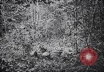 Standbild 128 Infanterie Division 32 Truppen Elsass Deutschland, 1918, aus Sekunde 49 historischem Filmmaterial Videoclip 65675029590