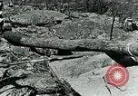 Image of laying telephone lines United States USA, 1928, second 29 stock footage video 65675029613