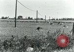 Image of telephone lines United States USA, 1928, second 34 stock footage video 65675029614