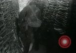 Image of American troops in gas attack France, 1918, second 19 stock footage video 65675029618