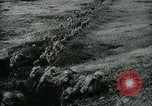 Image of World War I events France, 1918, second 9 stock footage video 65675029620