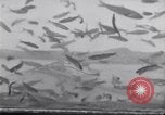 Image la pêche United States USA, 1920, de la seconde 7 séquences d'archives historiques vidéo 65675029621
