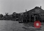 Image décharger sardines United States USA, 1920, de la seconde 19 séquences d'archives historiques vidéo 65675029622
