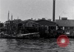 Image décharger sardines United States USA, 1920, de la seconde 50 séquences d'archives historiques vidéo 65675029622