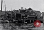 Image décharger sardines United States USA, 1920, de la seconde 61 séquences d'archives historiques vidéo 65675029622