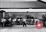 Image transporter le maïs United States USA, 1920, de la seconde 54 séquences d'archives historiques vidéo 65675029625