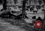 Standbild indische Kavallerie Encamp Frankreich, 1918, aus Sekunde 11 historischem Filmmaterial Videoclip 65675029636