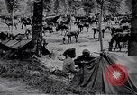 Standbild indische Kavallerie Encamp Frankreich, 1918, aus Sekunde 14 historischem Filmmaterial Videoclip 65675029636