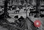 Standbild indische Kavallerie Encamp Frankreich, 1918, aus Sekunde 16 historischem Filmmaterial Videoclip 65675029636