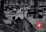 Standbild indische Kavallerie Encamp Frankreich, 1918, aus Sekunde 17 historischem Filmmaterial Videoclip 65675029636