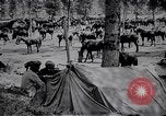 Standbild indische Kavallerie Encamp Frankreich, 1918, aus Sekunde 19 historischem Filmmaterial Videoclip 65675029636
