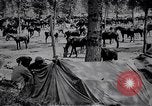 Standbild indische Kavallerie Encamp Frankreich, 1918, aus Sekunde 20 historischem Filmmaterial Videoclip 65675029636