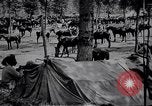 Standbild indische Kavallerie Encamp Frankreich, 1918, aus Sekunde 21 historischem Filmmaterial Videoclip 65675029636