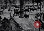 Standbild indische Kavallerie Encamp Frankreich, 1918, aus Sekunde 22 historischem Filmmaterial Videoclip 65675029636