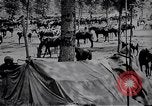 Standbild indische Kavallerie Encamp Frankreich, 1918, aus Sekunde 23 historischem Filmmaterial Videoclip 65675029636