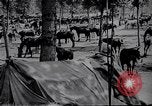 Standbild indische Kavallerie Encamp Frankreich, 1918, aus Sekunde 25 historischem Filmmaterial Videoclip 65675029636