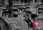 Standbild indische Kavallerie Encamp Frankreich, 1918, aus Sekunde 26 historischem Filmmaterial Videoclip 65675029636