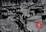 Standbild indische Kavallerie Encamp Frankreich, 1918, aus Sekunde 30 historischem Filmmaterial Videoclip 65675029636