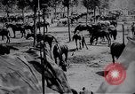 Standbild indische Kavallerie Encamp Frankreich, 1918, aus Sekunde 31 historischem Filmmaterial Videoclip 65675029636