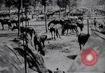 Standbild indische Kavallerie Encamp Frankreich, 1918, aus Sekunde 32 historischem Filmmaterial Videoclip 65675029636
