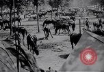 Standbild indische Kavallerie Encamp Frankreich, 1918, aus Sekunde 33 historischem Filmmaterial Videoclip 65675029636