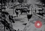 Standbild indische Kavallerie Encamp Frankreich, 1918, aus Sekunde 34 historischem Filmmaterial Videoclip 65675029636