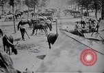 Standbild indische Kavallerie Encamp Frankreich, 1918, aus Sekunde 36 historischem Filmmaterial Videoclip 65675029636