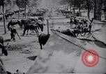 Standbild indische Kavallerie Encamp Frankreich, 1918, aus Sekunde 37 historischem Filmmaterial Videoclip 65675029636