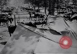 Standbild indische Kavallerie Encamp Frankreich, 1918, aus Sekunde 40 historischem Filmmaterial Videoclip 65675029636