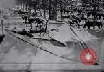 Standbild indische Kavallerie Encamp Frankreich, 1918, aus Sekunde 42 historischem Filmmaterial Videoclip 65675029636