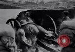 Standbild American Field Artillery Frankreich, 1918, aus Sekunde 11 historischem Filmmaterial Videoclip 65675029637