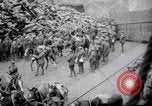 Image of Allied troop transport France, 1917, second 32 stock footage video 65675029640