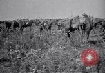 Image of Indian Cavalry France, 1918, second 3 stock footage video 65675029641