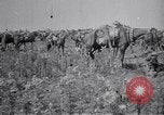 Image of Indian Cavalry France, 1918, second 4 stock footage video 65675029641