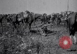 Image of Indian Cavalry France, 1918, second 8 stock footage video 65675029641