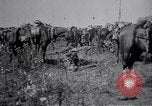 Image of Indian Cavalry France, 1918, second 9 stock footage video 65675029641