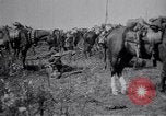 Image of Indian Cavalry France, 1918, second 10 stock footage video 65675029641