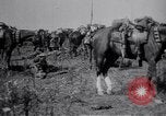 Image of Indian Cavalry France, 1918, second 11 stock footage video 65675029641